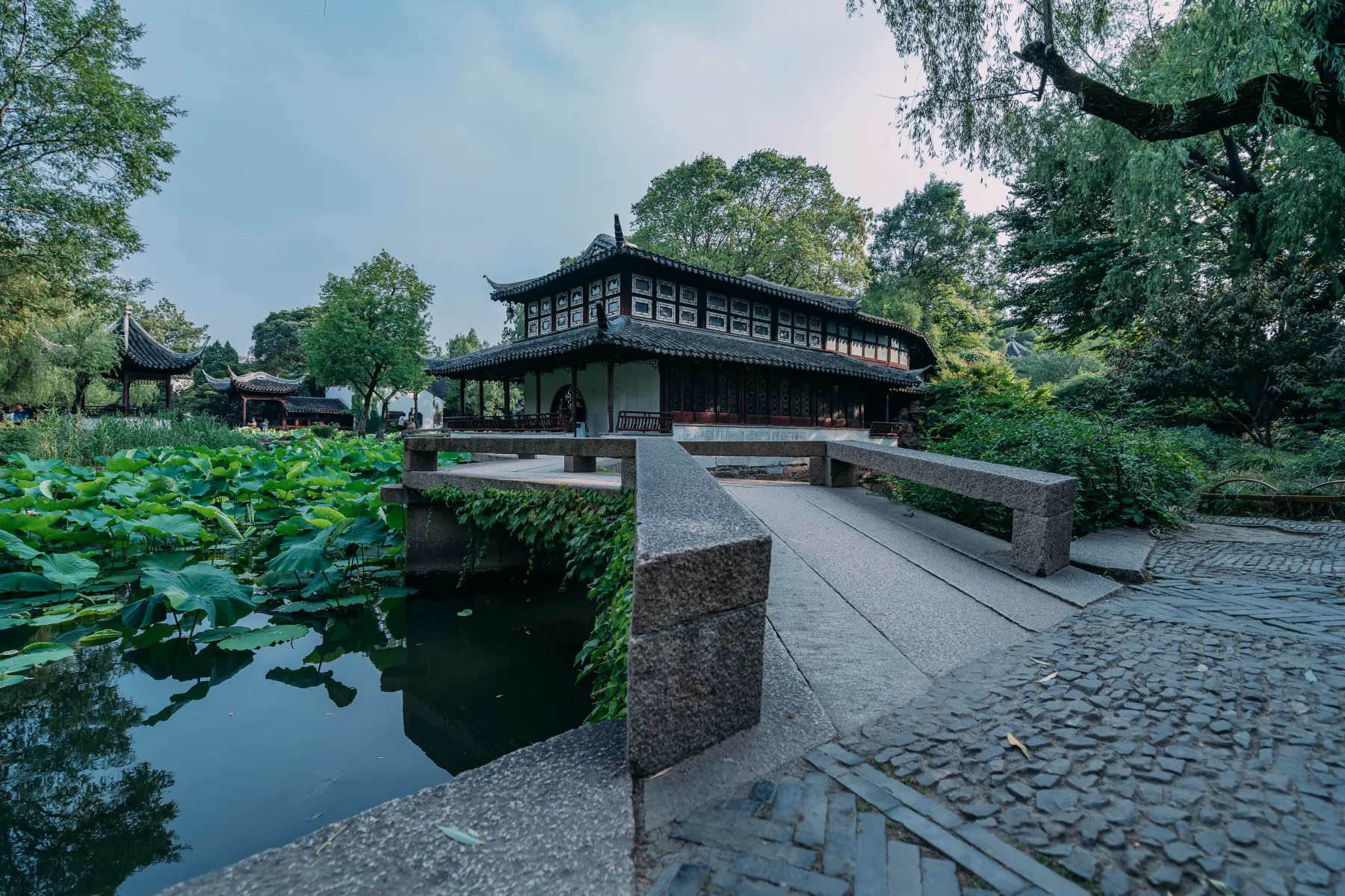 Chinese garden architecture and lotus pond introducing Chinese culture as a living experience